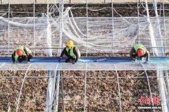 宁夏原州改造升级老旧温室 筑牢设施蔬菜“致富棚”